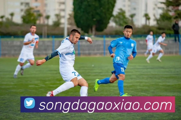 开云平台生态图